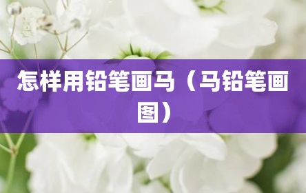 怎样用铅笔画马（马铅笔画图）