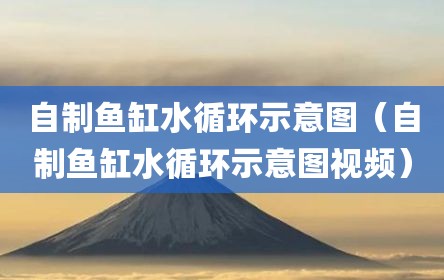 自制鱼缸水循环示意图（自制鱼缸水循环示意图视频）