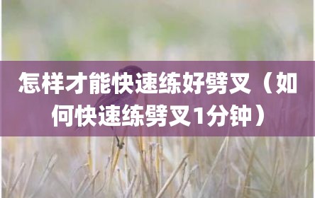 怎样才能快速练好劈叉（如何快速练劈叉1分钟）