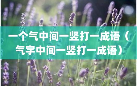 一个气中间一竖打一成语（气字中间一竖打一成语）