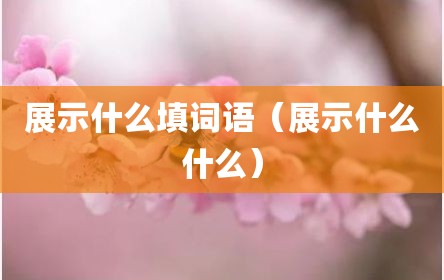 展示什么填词语（展示什么什么）