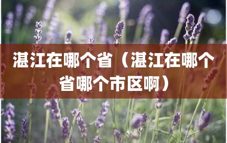 湛江在哪个省（湛江在哪个省哪个市区啊）