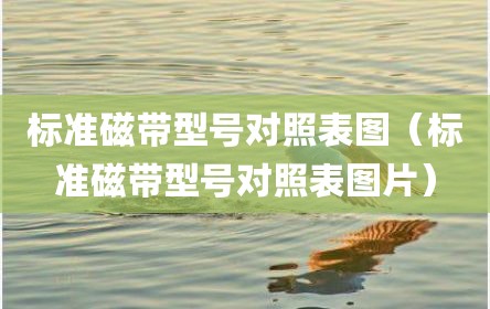标准磁带型号对照表图（标准磁带型号对照表图片）
