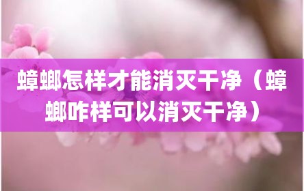 蟑螂怎样才能消灭干净（蟑螂咋样可以消灭干净）