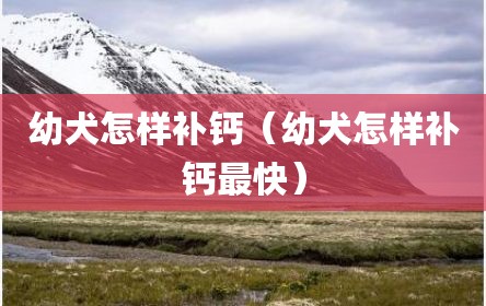 幼犬怎样补钙（幼犬怎样补钙最快）
