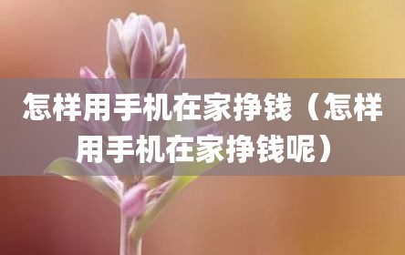 怎样用手机在家挣钱（怎样用手机在家挣钱呢）
