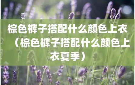 棕色裤子搭配什么颜色上衣（棕色裤子搭配什么颜色上衣夏季）