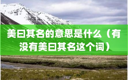 美曰其名的意思是什么（有没有美曰其名这个词）