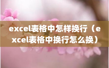 excel表格中怎样换行（excel表格中换行怎么换）