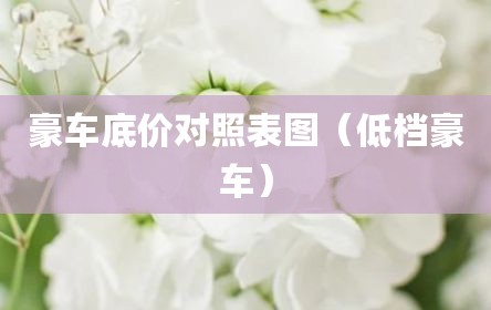 豪车底价对照表图（低档豪车）