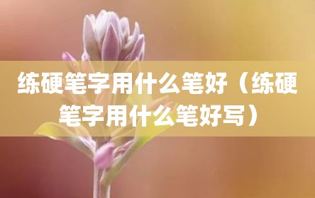 练硬笔字用什么笔好（练硬笔字用什么笔好写）