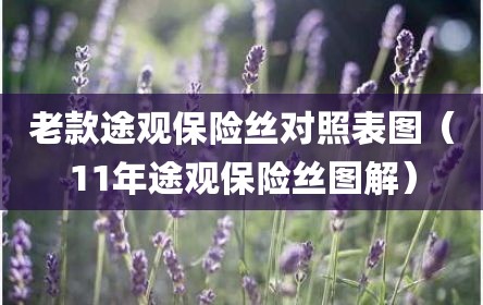 老款途观保险丝对照表图（11年途观保险丝图解）