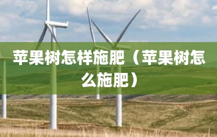 苹果树怎样施肥（苹果树怎么施肥）