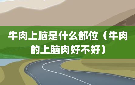 牛肉上脑是什么部位（牛肉的上脑肉好不好）
