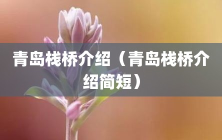 青岛栈桥介绍（青岛栈桥介绍简短）