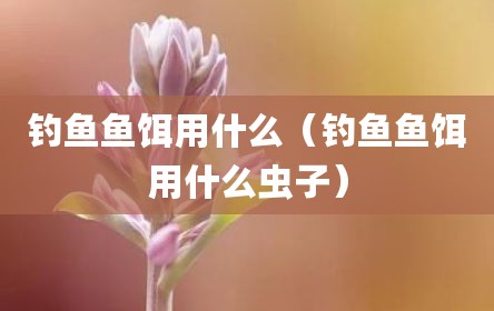 钓鱼鱼饵用什么（钓鱼鱼饵用什么虫子）