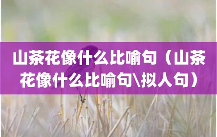 山茶花像什么比喻句（山茶花像什么比喻句\拟人句）