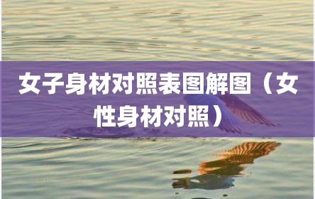 女子身材对照表图解图（女性身材对照）