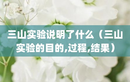 三山实验说明了什么（三山实验的目的,过程,结果）