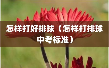 怎样打好排球（怎样打排球中考标准）