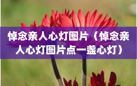 悼念亲人心灯图片（悼念亲人心灯图片点一盏心灯）