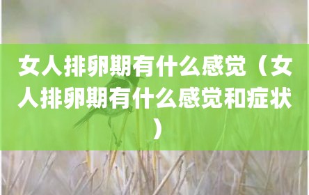 女人排卵期有什么感觉（女人排卵期有什么感觉和症状）