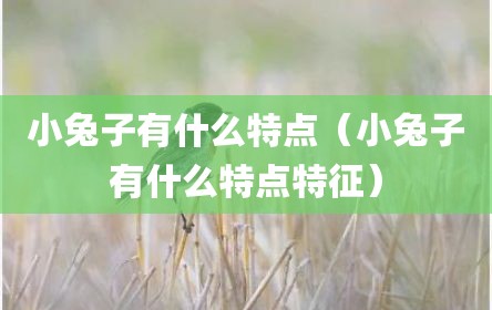 小兔子有什么特点（小兔子有什么特点特征）