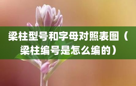 梁柱型号和字母对照表图（梁柱编号是怎么编的）