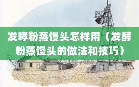 发哮粉蒸馒头怎样用（发酵粉蒸馒头的做法和技巧）