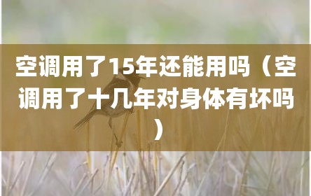 空调用了15年还能用吗（空调用了十几年对身体有坏吗）