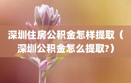 深圳住房公积金怎样提取（深圳公积金怎么提取?）