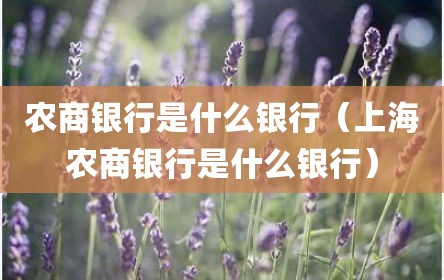 农商银行是什么银行（上海农商银行是什么银行）