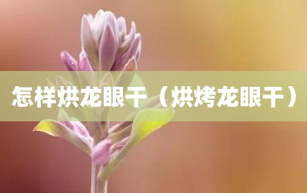 怎样烘龙眼干（烘烤龙眼干）