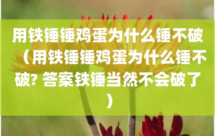 用铁锤锤鸡蛋为什么锤不破（用铁锤锤鸡蛋为什么锤不破? 答案铁锤当然不会破了）