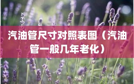 汽油管尺寸对照表图（汽油管一般几年老化）