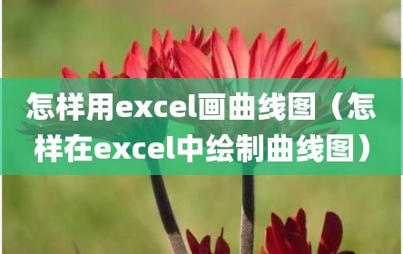 怎样用excel画曲线图（怎样在excel中绘制曲线图）
