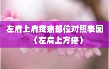 左肩上肩疼痛部位对照表图（左肩上方疼）
