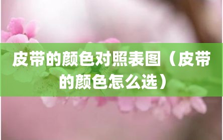 皮带的颜色对照表图（皮带的颜色怎么选）