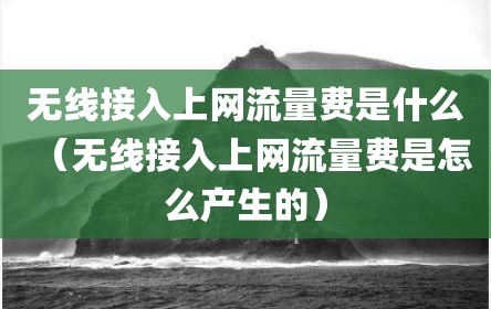 无线接入上网流量费是什么（无线接入上网流量费是怎么产生的）