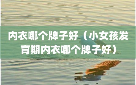 内衣哪个牌子好（小女孩发育期内衣哪个牌子好）