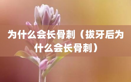 为什么会长骨刺（拔牙后为什么会长骨刺）