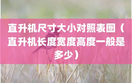 直升机尺寸大小对照表图（直升机长度宽度高度一般是多少）