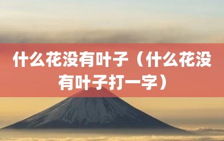 什么花没有叶子（什么花没有叶子打一字）