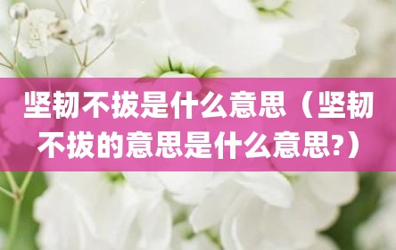 坚韧不拔是什么意思（坚韧不拔的意思是什么意思?）