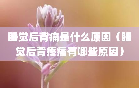 睡觉后背痛是什么原因（睡觉后背疼痛有哪些原因）