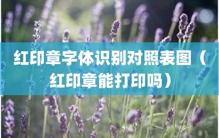 红印章字体识别对照表图（红印章能打印吗）