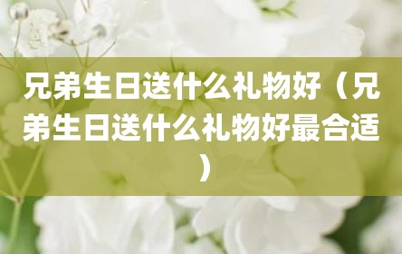 兄弟生日送什么礼物好（兄弟生日送什么礼物好最合适）