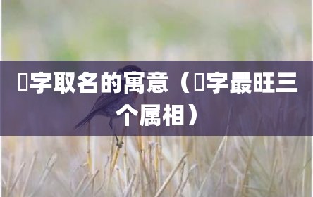 宬字取名的寓意（宬字最旺三个属相）
