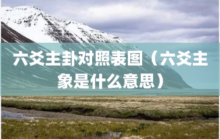 六爻主卦对照表图（六爻主象是什么意思）