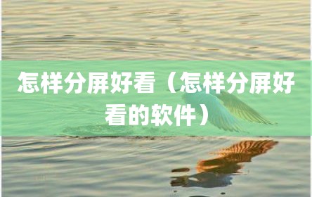 怎样分屏好看（怎样分屏好看的软件）
